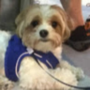 Meet your Posher, Bryan